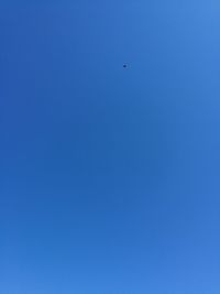 Low angle view of bird flying in sky