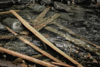 High angle view of ice cream on rock