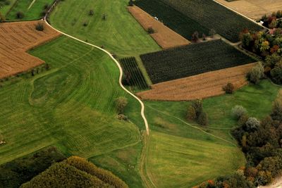 High angle view of agricultural field