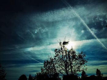 Low angle view of tree against cloudy sky