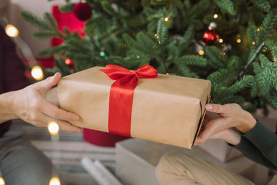 Midsection of woman holding christmas tree in box