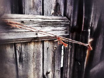 Close-up of wooden plank