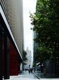 Walkway along trees in city