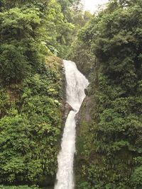 Waterfall in forest