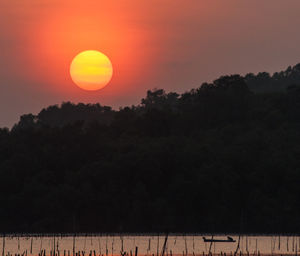 Scenic view of silhouette trees against orange sky