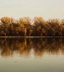 Scenic view of lake by trees against clear sky