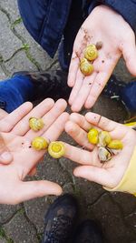 Low section of people holding fruit