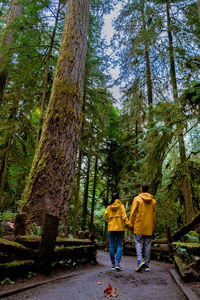 Rear view of people walking in forest