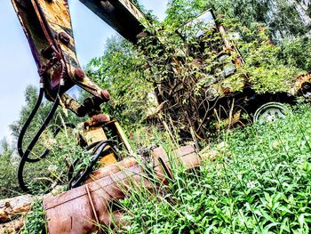 Old rusty bicycle on field