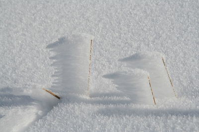 High angle view of snow covered field