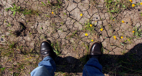 Low section of man standing by tree