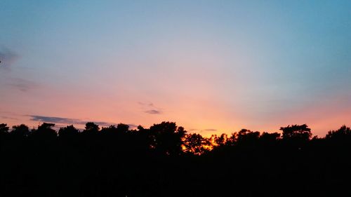 Silhouette trees against sky during sunset