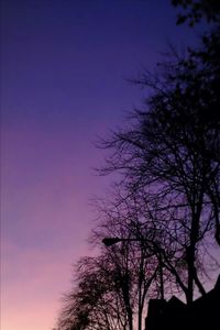 Low angle view of bare tree against sky