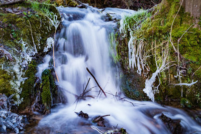 View of waterfall in forest