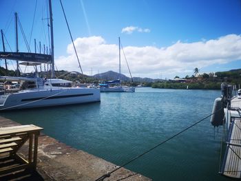 Sailboats moored at harbor against sky