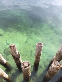 Rocks in sea