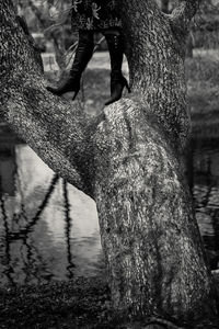 Low section of man by tree trunk by lake