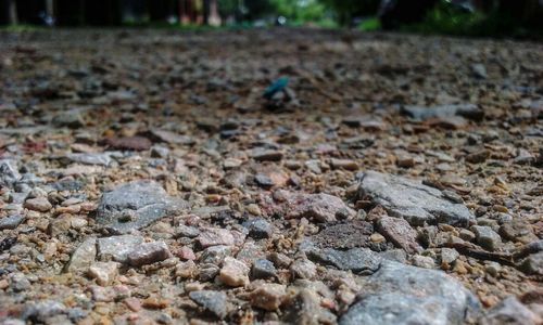 Surface level of stones in park