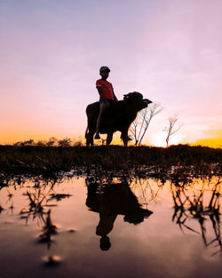 Man riding buffalo against sky