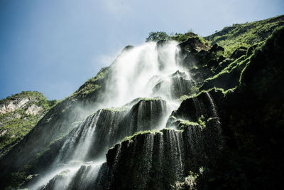 Low angle view of waterfall in forest