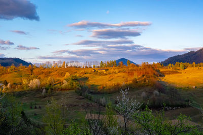 Scenic view of landscape against sky during autumn