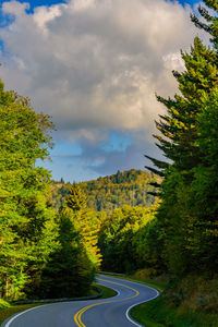 Road amidst trees and plants against sky