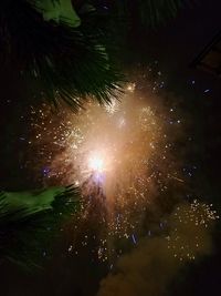 Low angle view of fireworks against sky at night