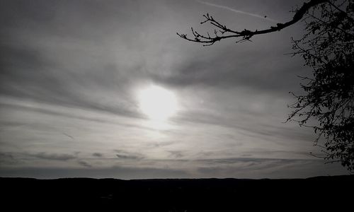 Low angle view of silhouette trees against sky