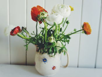 Various ranunculus flowers in white vase on table against wall
