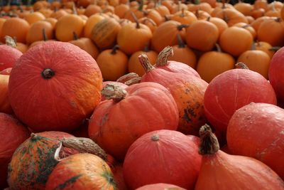 Full frame shot of pumpkins at market stall