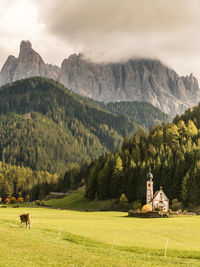 Scenic view of field with church by mountains against sky