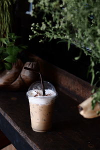 Close-up of potted plant on table