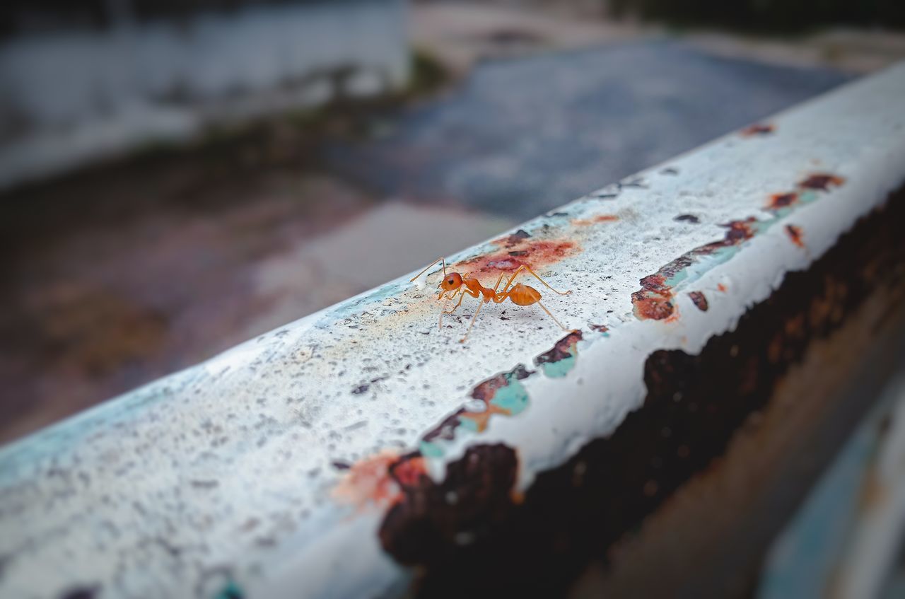 HIGH ANGLE VIEW OF OLD RUSTY METAL