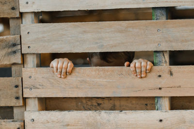 Boy seen through wooden fence