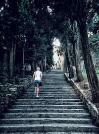 Rear view of woman walking on steps