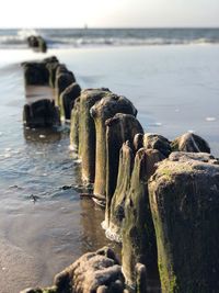 Rocks on sea shore against sky