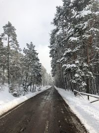 Road amidst snow covered trees against sky