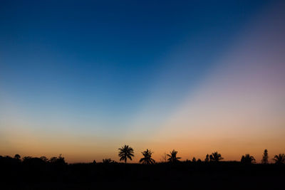 Silhouette trees against clear sky during sunset