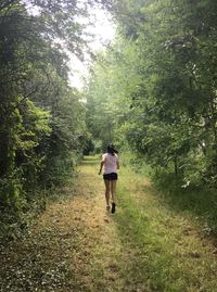 Full length rear view of man walking in forest