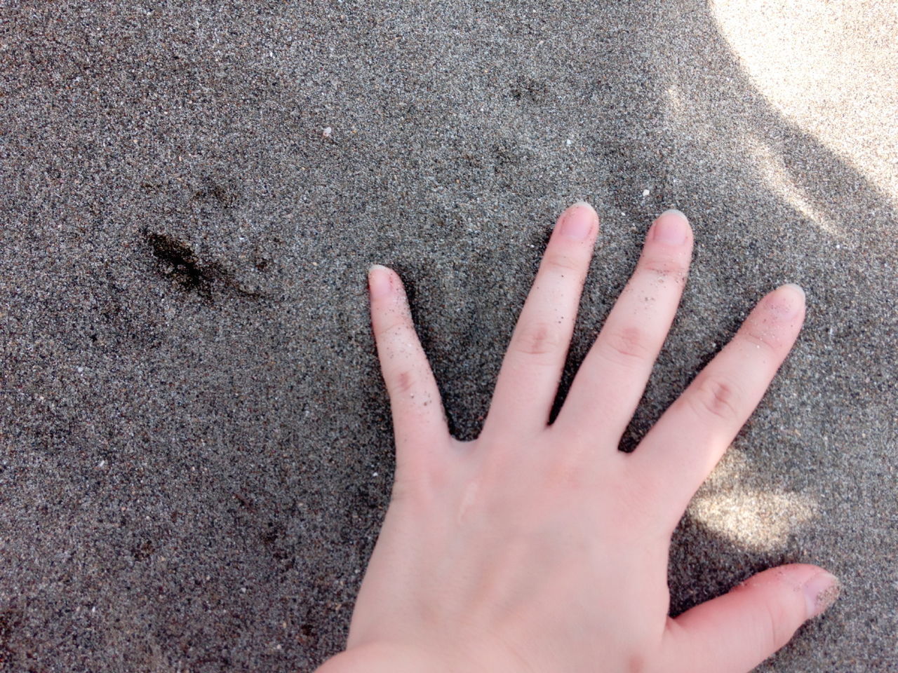 person, part of, personal perspective, high angle view, beach, sand, unrecognizable person, street, cropped, human finger, lifestyles, holding, close-up, leisure activity, low section, day