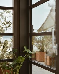 window