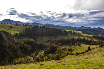 Scenic view of landscape against sky