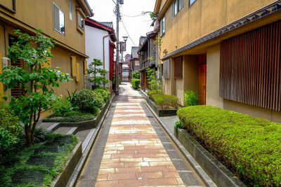 Narrow alley amidst houses and buildings in city