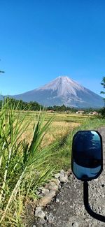 Scenic view of field against clear blue sky