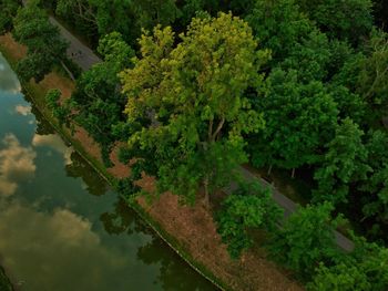 High angle view of lake amidst trees in forest