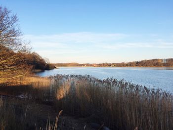 Tranquil view of calm lake