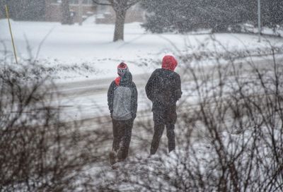 Rear view of women on snow covered land