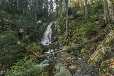 View of waterfall in forest