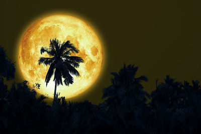 Full sturgeon moon and silhouette coconut tree in the dark night sky,