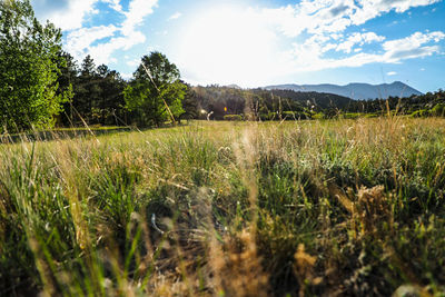 Scenic view of land against sky